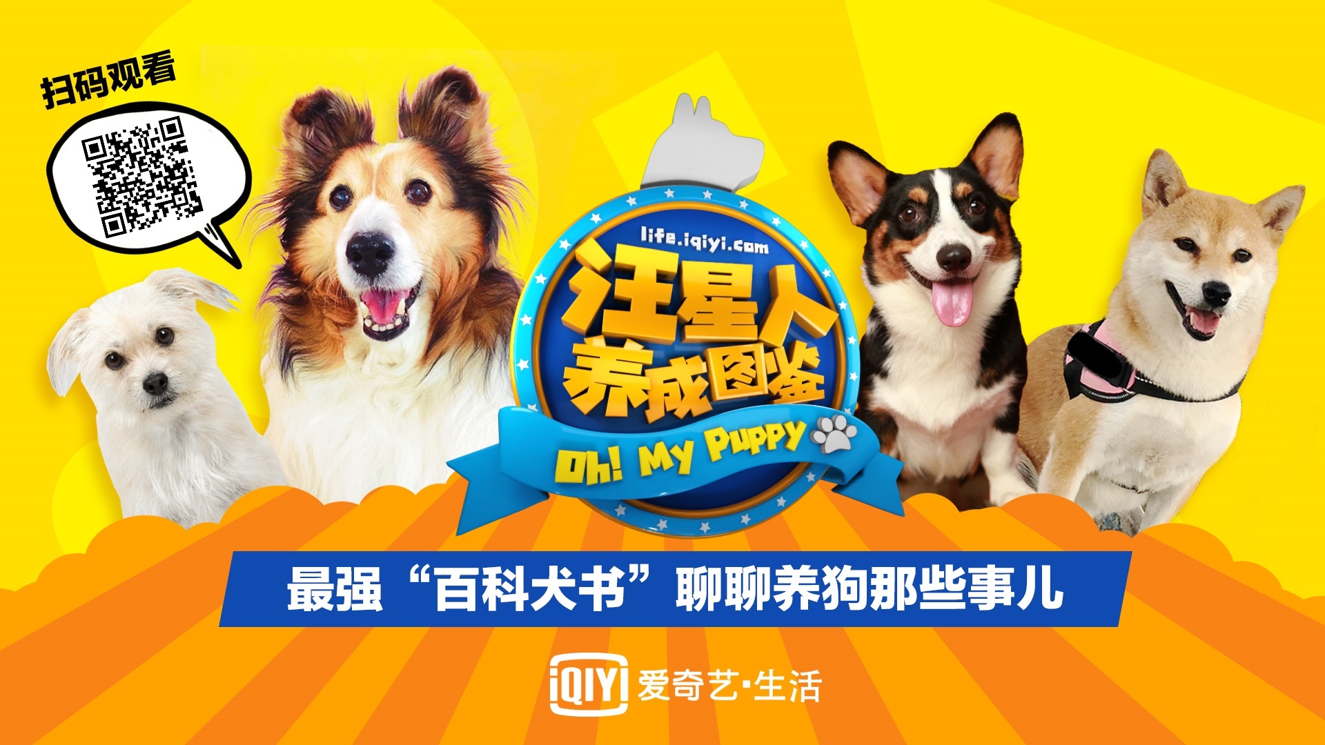 爱奇艺 爱奇艺