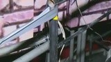 《中国好舞蹈》节目录制现场 女观众高坠身亡