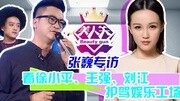 《美人关》第20150611期《美人关》 看张巍如何让徐小平护驾娱乐工场综艺节目完整版视频在线观看爱奇艺