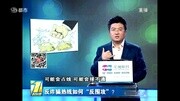 反诈骗热线如何“反围攻”?资讯完整版视频在线观看爱奇艺