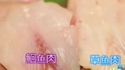 常见鱼肉对比 鮰鱼最紧致生活高清正版视频在线观看–爱奇艺