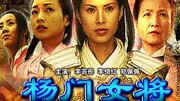 杨门女将之大破天门阵