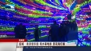 应城:夜游楚珍园 观水幕电影 赏花海灯展资讯完整版视频在线观看爱奇艺