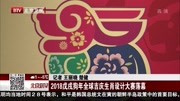 2018戊成狗年全球吉庆生肖设计大赛落幕资讯高清正版视频在线观看–爱奇艺