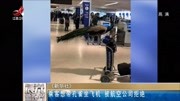 乘客想带孔雀坐飞机 被航空公司拒绝资讯高清正版视频在线观看–爱奇艺