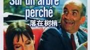 落在树梢