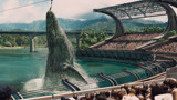 速看《侏罗纪世界2：失落王国》前传《侏罗纪世界》星爵拯救世界