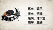 1351点tv一生无忧