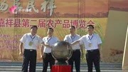 中国农民丰收节:迎丰收 晒丰收 庆丰收资讯高清正版视频在线观看–爱奇艺