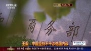 王毅:中国坚持不干涉他国内政军事高清正版视频在线观看–爱奇艺