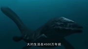 龙王鲸