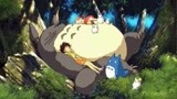 宫崎骏动画电影龙猫，举行影片超前观影，口碑获一致好评！