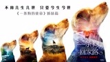 《一条狗的回家路》“心之所向”版预告片 贝拉横跨四季为爱归来