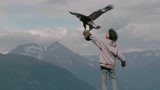 追鹰日记：孤单少年妙招训鹰 绝美阿尔卑斯山风景了解一下？