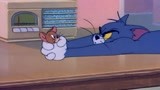 感谢杰瑞送来的枕头 居然想要陷害本猫
