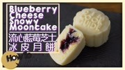 蓝莓冰皮月饼(美食做法)