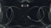铁杉树丛第2季
