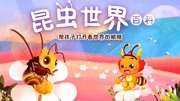小伴龙昆虫百科