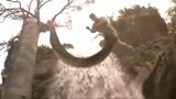 狂蟒之灾：童年阴影，与亚马逊巨蟒斗智斗勇 