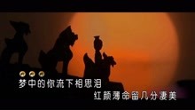 一曲红尘简谱视频_一曲红尘简谱(2)