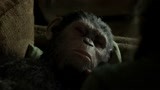 猩球崛起：猿类首领受伤，带人类去小屋子，却早已物是人非！