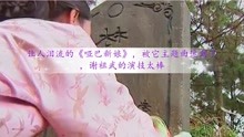 哑巴新娘主题歌曲谱_哑巴新娘拇指琴曲谱