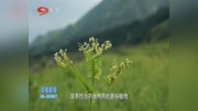 环太生物:控品质为健康资讯高清正版视频在线观看–爱奇艺