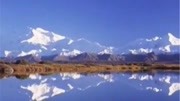 火山湖生物离奇死亡,真凶竟是二氧化碳,湖泊杀人谜团水落石出资讯高清正版视频在线观看–爱奇艺