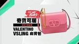 奇货可居：2019秋季必败26款IT BAG评测之Valentino Vsling肩背包