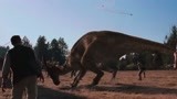 侏罗纪公园2：疯狂捕猎人，失落岛捕恐龙，堪称剧中最精彩片段