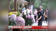 国庆前夕菊花开 本地客流错峰游资讯高清正版视频在线观看–爱奇艺