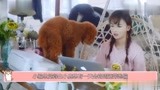 你是我的答案：小鹿炮弹飞扑撞进周远怀里，周远一脸宠溺：调皮