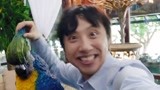 李茶的姑妈：男子误入豪宅，这些举动太疯狂！