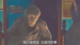 猩球崛起：小猩猩智商超群，连博士都震惊，却也带来可怕的思考！
