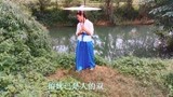 云南山歌《十月里来菊花黄》电影歌剧刘三姐砍柴调，好听又好唱！