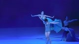 《小美人鱼》浮出水面 为“中芭团庆60周年系列展演”启幕