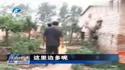 经营大的养猪场,却拒绝偿还欠款,男子:猪被偷了没钱给资讯搜索最新资讯爱奇艺