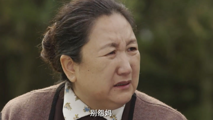 养母-电视剧-全集高清正版视频在线观看-爱奇艺