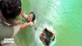 西游降魔：女儿掉进水里，母亲出手接住，谁想河妖跃起一口吞下