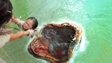 西游降魔：鱼怪张开血盆大口，一口将小女孩吞下，太恐怖了！
