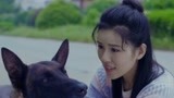 战狼犬：有人相中微笑，屡次把它带走，微笑都逃了出来！