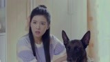 战狼犬：思怡生活有好转，邀请朋友大吃一顿，来个一醉方休！