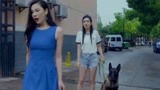 战狼犬：李旭帆为了能够养活狼犬，带着狼犬卖玩具，还带现场表演