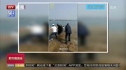 河北定州:退伍军人飞扑下河救溺水母子 岸上众人搭人链帮忙资讯搜索最新资讯爱奇艺