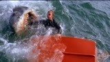 大白鲨：众人在海边嬉戏，不料鲨鱼突然闯入，场面顿时一片混乱