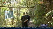 封开县县长梁健梅率调研组开展全域旅游调研资讯搜索最新资讯爱奇艺