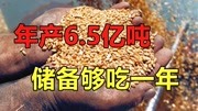 《照理观商界》第20200605期什么是储备粮?中国粮食年产6亿吨,灾难面前够全国人民吃一年财经完整版视频在线观看爱奇艺