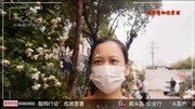 共享美丽 邻里打造社区小花园资讯搜索最新资讯爱奇艺