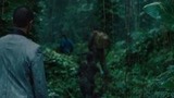 新铁血战士：男子一伙行走在森林中，前面却出现俩人在打斗