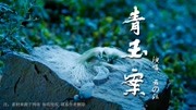 这首古风《青玉案》,唱的太感人了,歌词意境非常深音乐背景音乐视频音乐爱奇艺